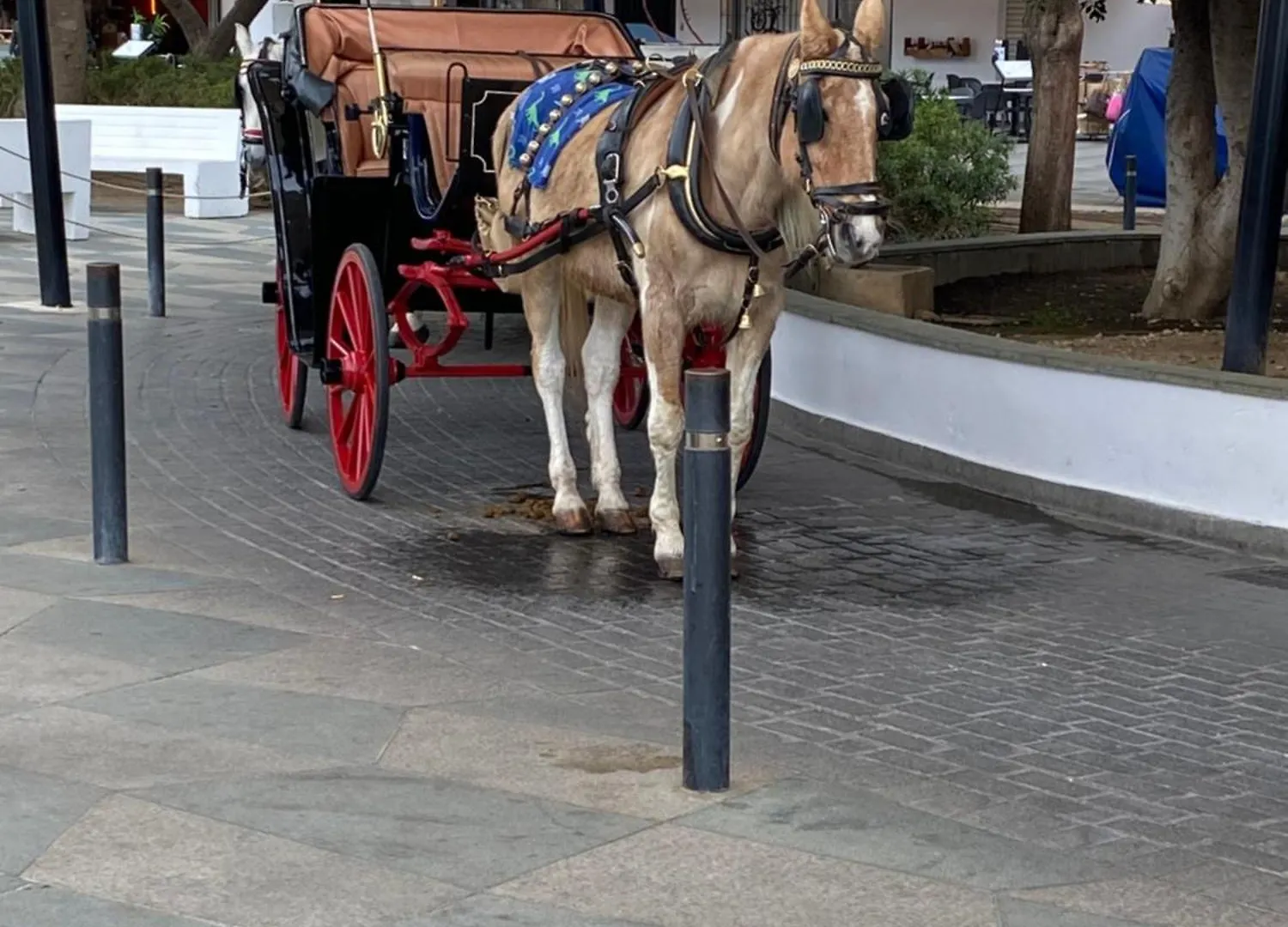 Apartmán Mar Y Sol Benalmádena